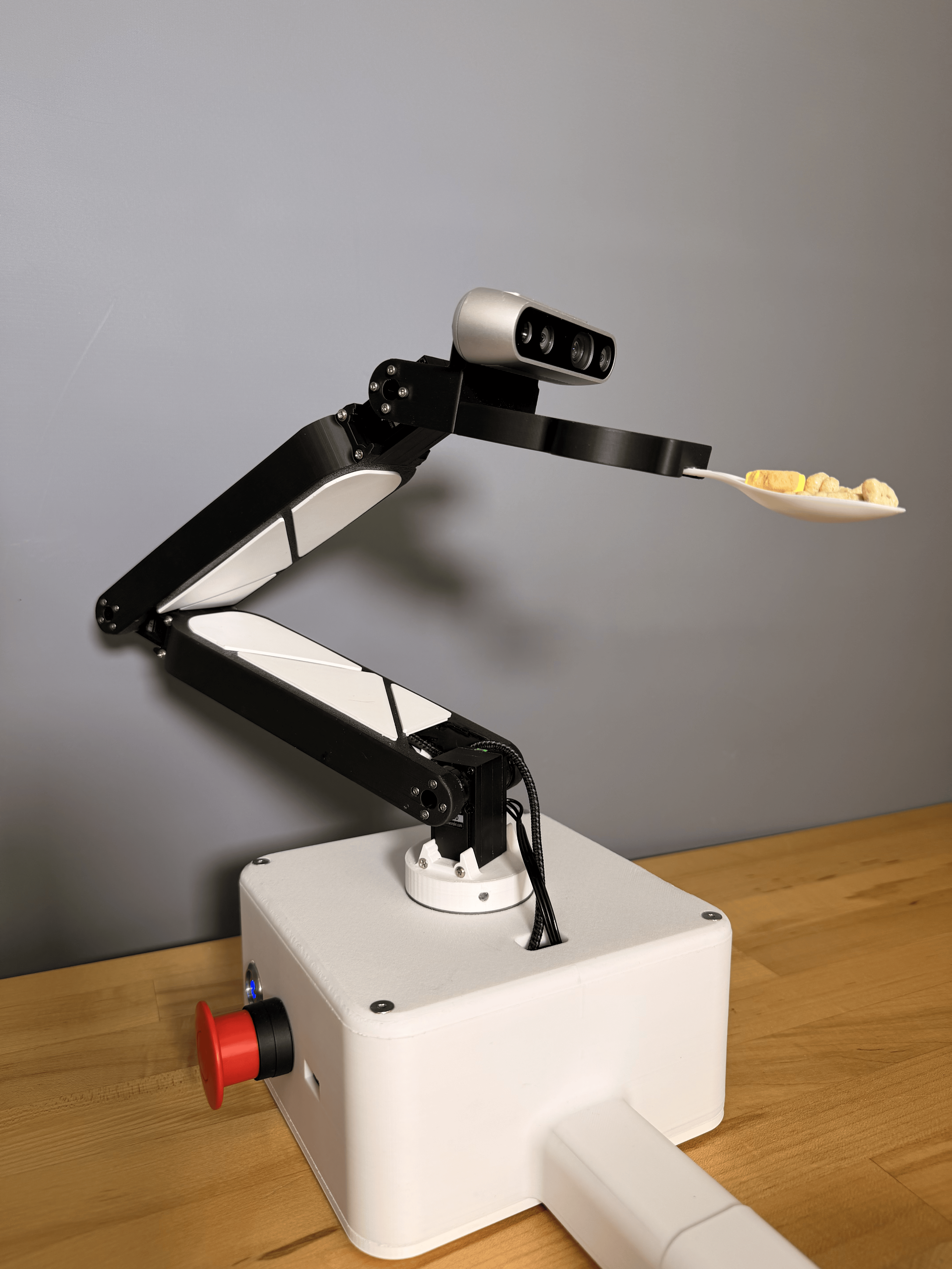 Robotic Arm